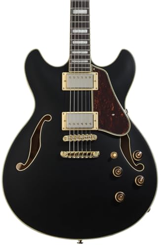 Black Flat Semi-hollowbody Electric Guitar Z651