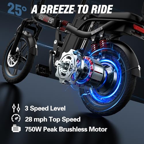 2 Seater Electric Bike, 16" Fat Tire, Full Suspension Q188117