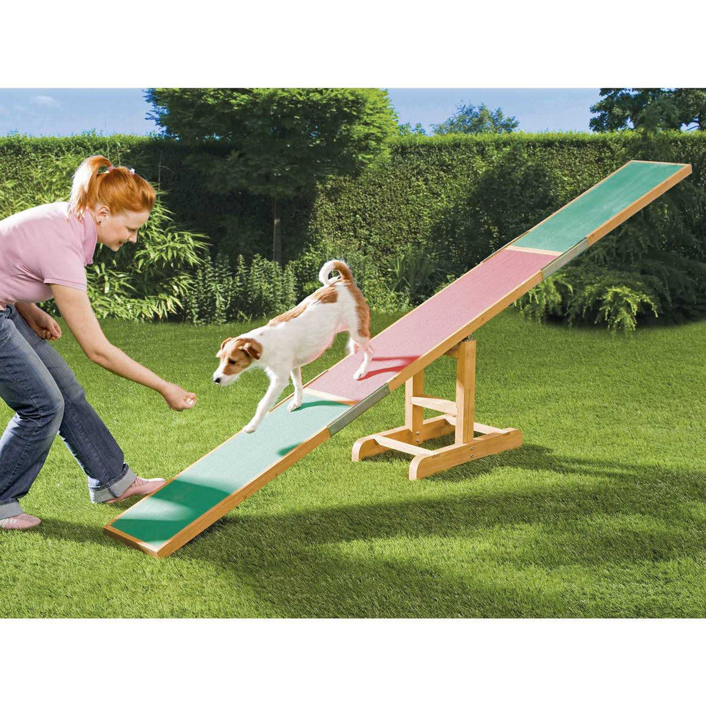 Agility Dog Training Seesaw F58112