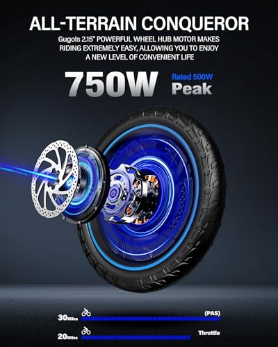 2 Seater Electric Bike, 16" Fat Tire, Full Suspension Q188117