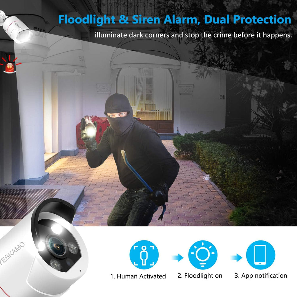 5MP PoE Security Camera System with 8CH NVR and 2TB Hard Drive K955