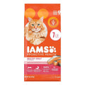 Salmon Adult Dry Cat Food V238