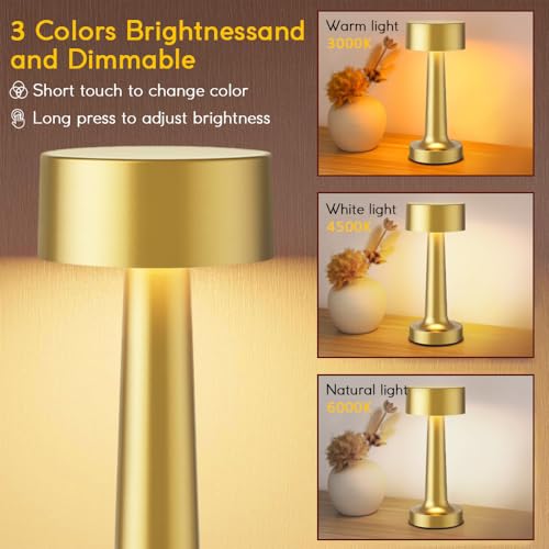 Portable LED Table Lamp, 3 Color Touch Control Rechargeable Metal Desk Lamp F581879
