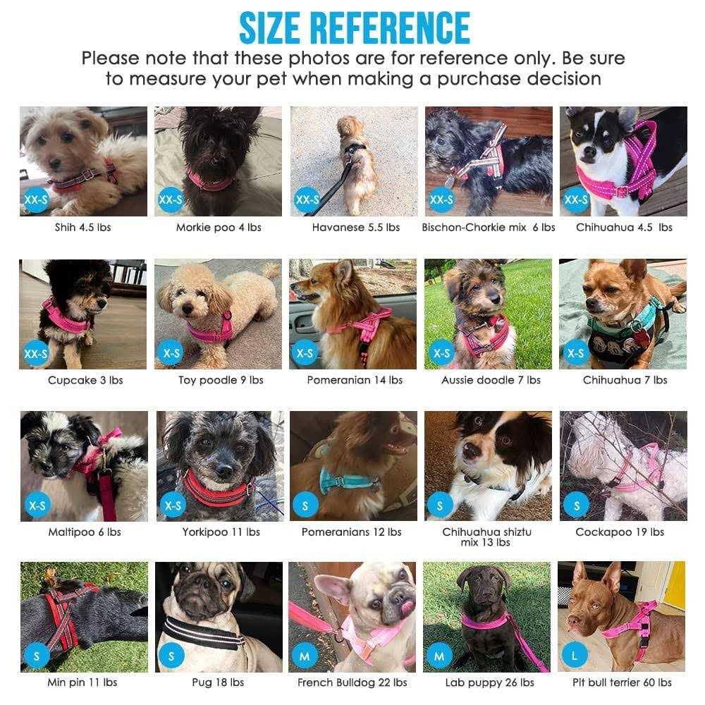 Heavy Duty Adjustable Reflective Dog Harness and Leash C2398