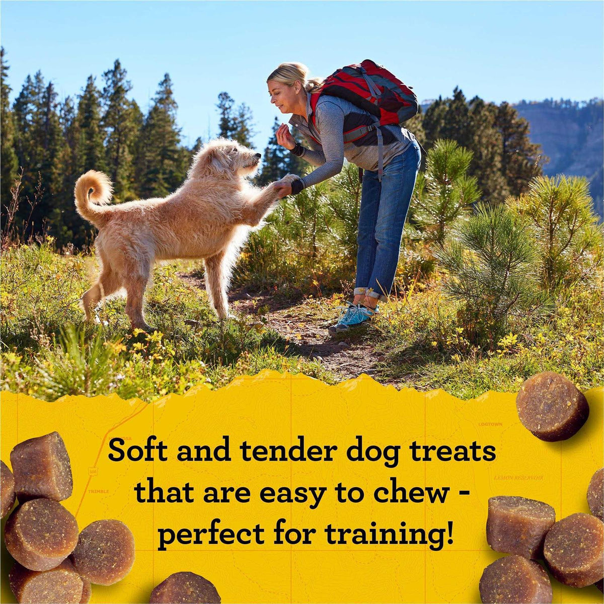 Dog Treats N785669