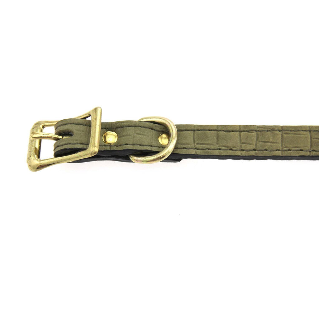 Lizard Olive Leather Dog Collar 1 inch x 18 inch A9655