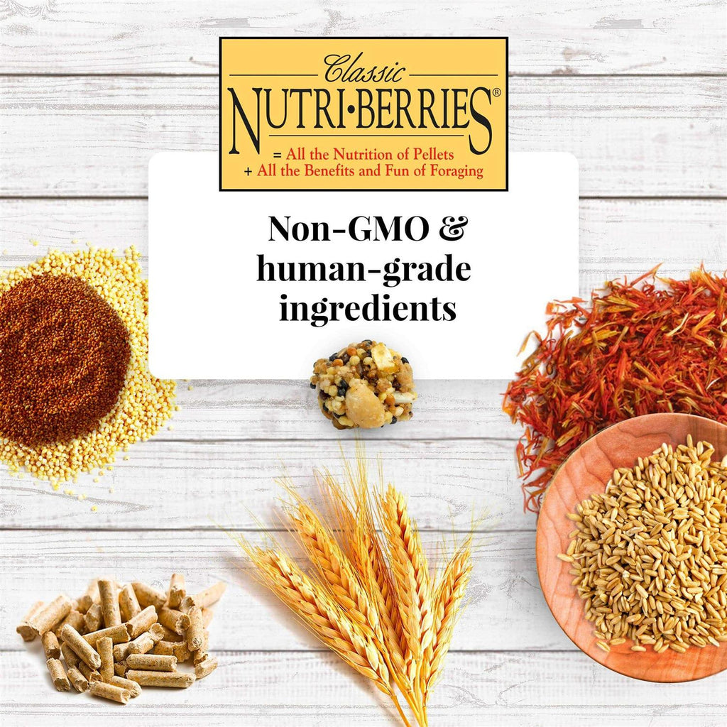 Nutri Berries Food U735