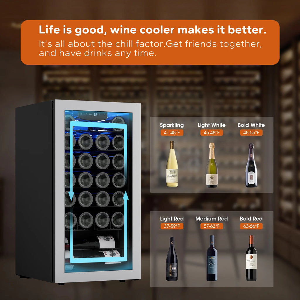 Wine Refrigerator Cooler 27 Bottle Mini Wine Fridge with Glass Door S35301