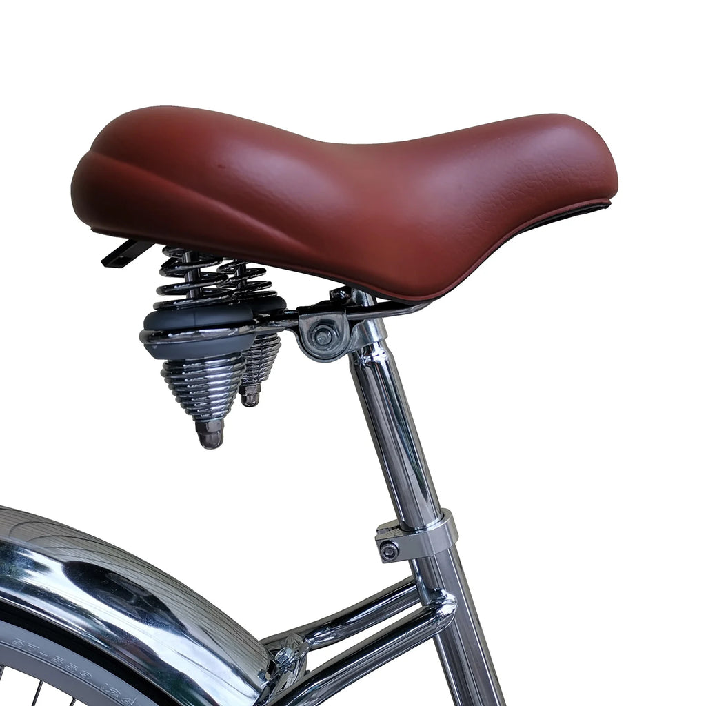 Beach Cruiser Bike D433