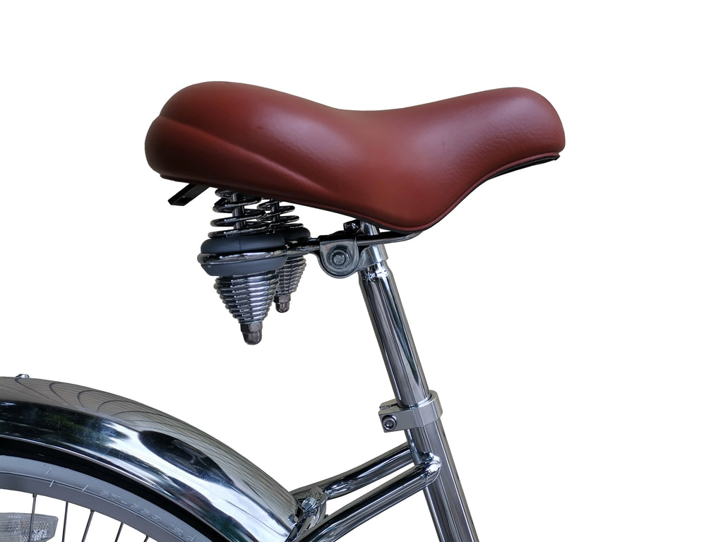 Beach Cruiser Bike D433