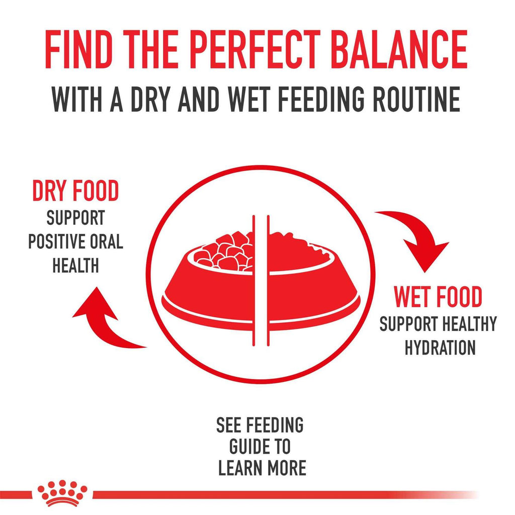 Dry Dog Food Q821