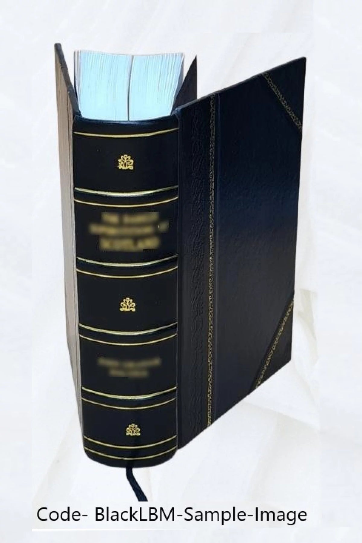 Medical Sciences Reference Handbook P810910