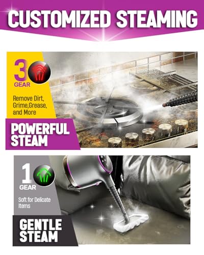 Handheld Steam Cleaner 12 Accessories Graypurple B676