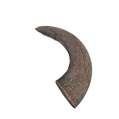 Natural Water Buffalo Horns Dog Treats Z27263