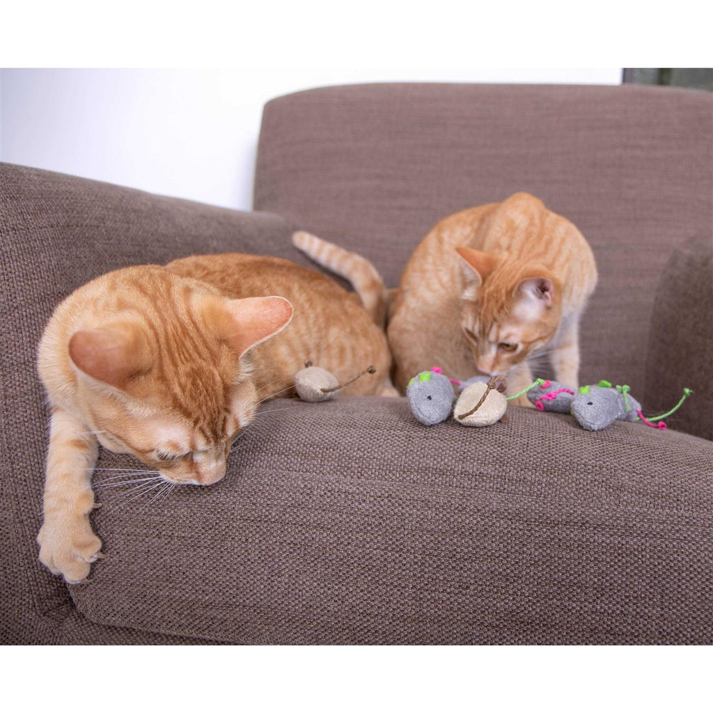 Catnip Cat Toys X32196