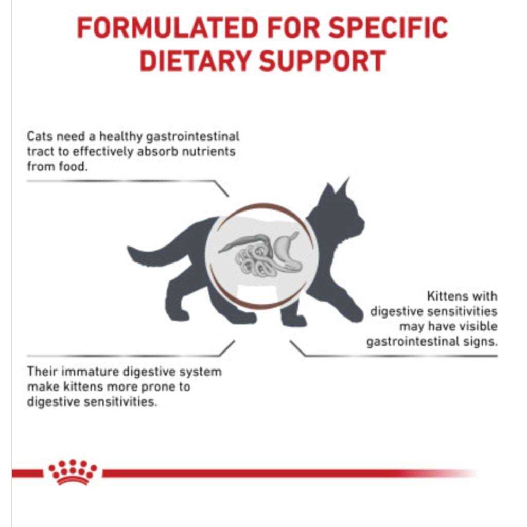 Kitten Dry Cat Food B4837