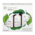 Tea Tree Scalp Care Regimen Kit P611051