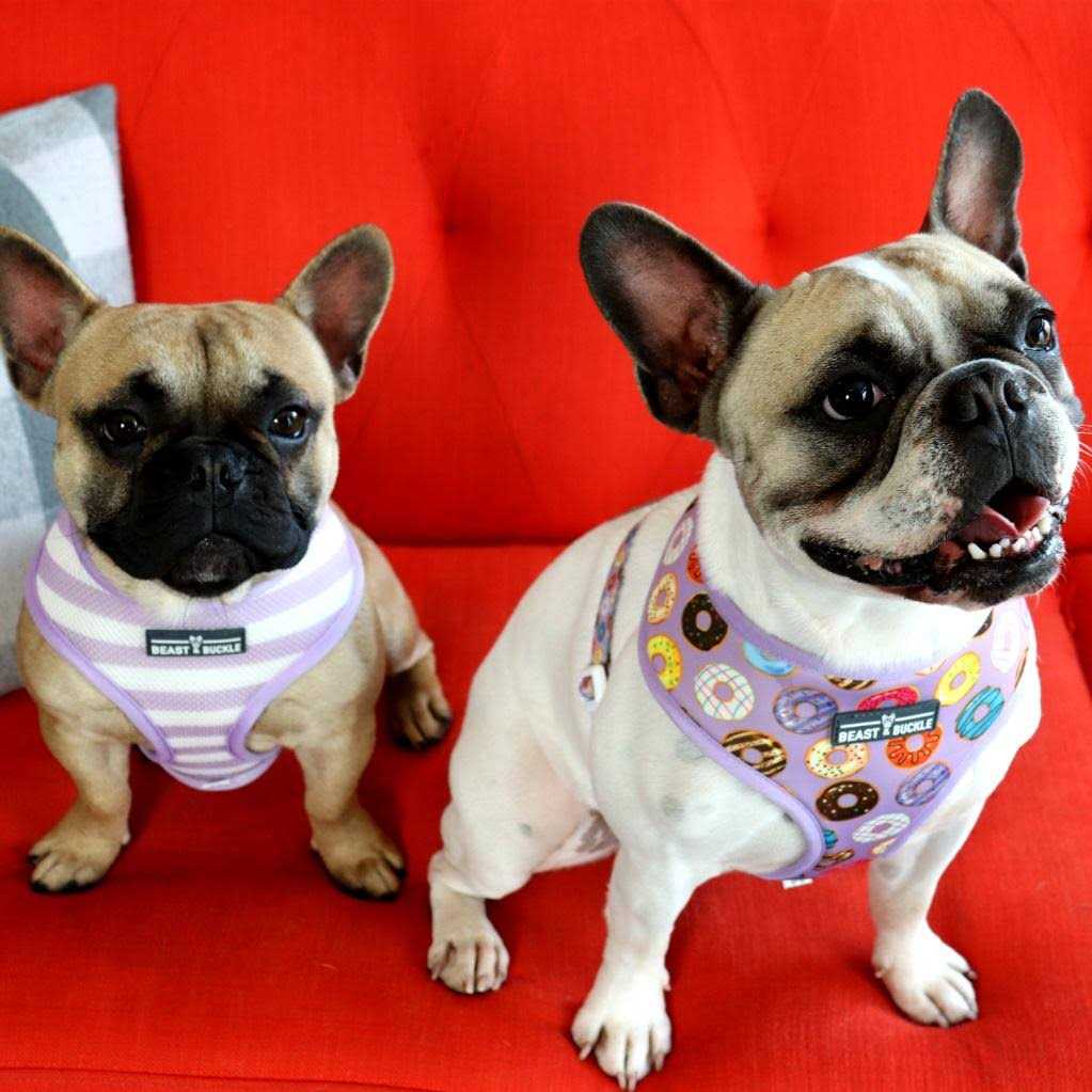 Reversible Dog Harness J747556