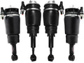 Suspension Air Strut Assembly Kit L803085