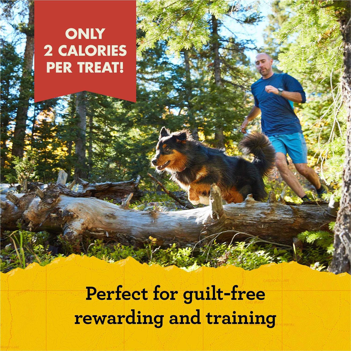 Dog Treats N785669