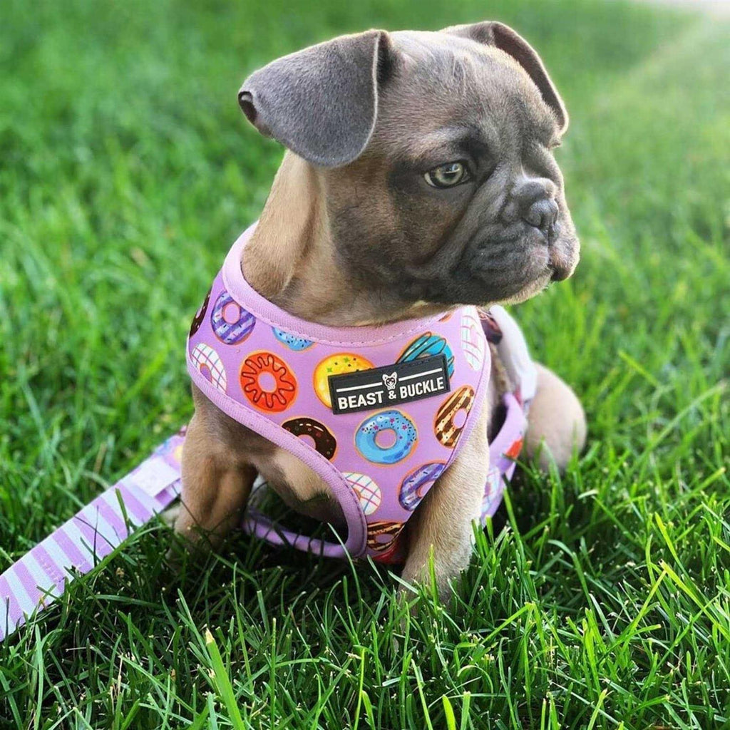 Reversible Dog Harness J747556