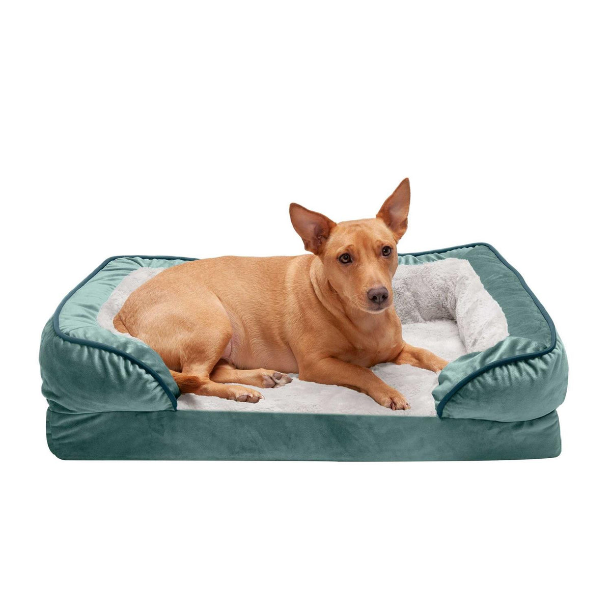 Sofa Dog Bed Velvet C971