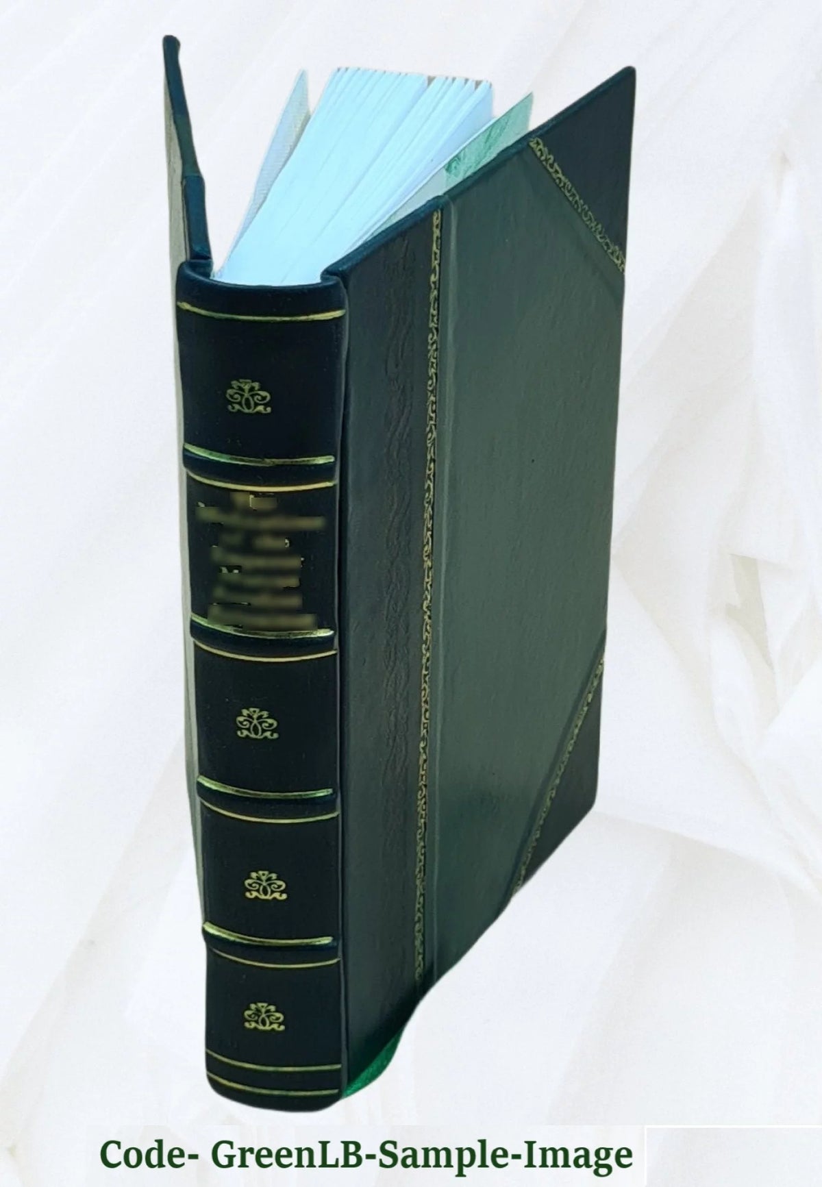 Leather Bound Book Z539